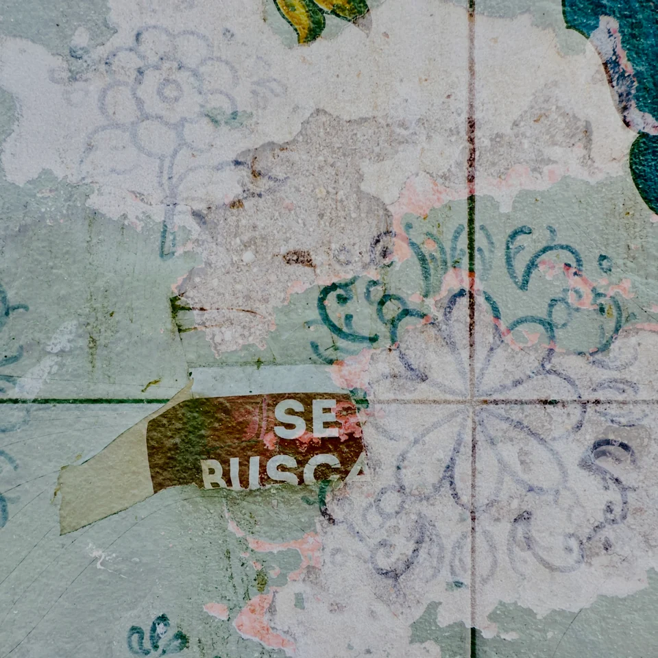 Pale ceramic patterns overlaid with green ornament and lettering.