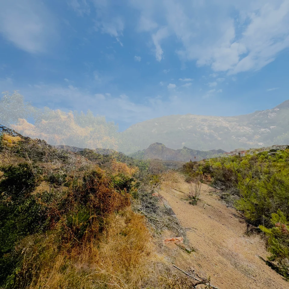 A mountain trail and golden grasses in a layered landscape.