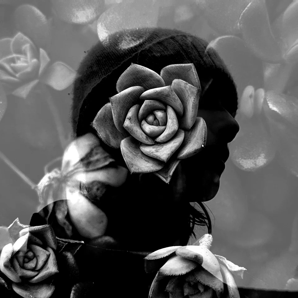 A rose layered over a figure in black and white.