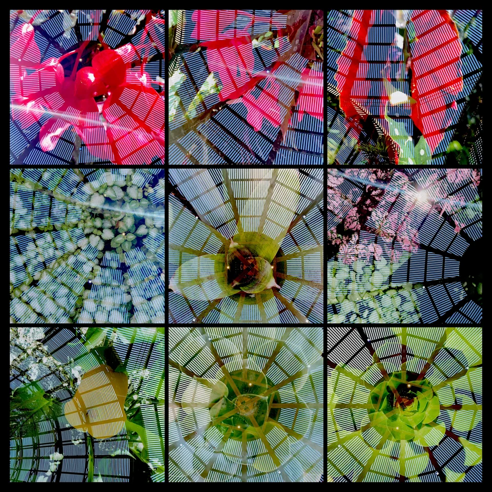 Nine vivid double exposures of flowers and geometric patterns.