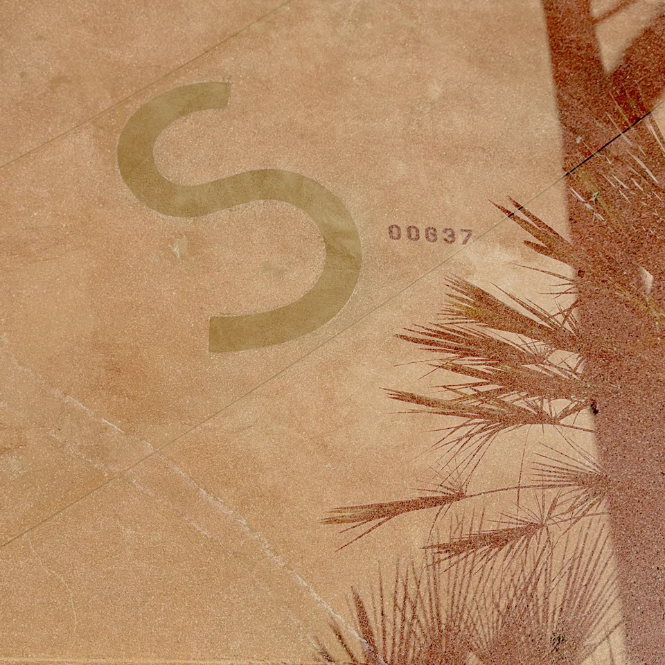 A large letter S layered with warm-toned plants and textures.
