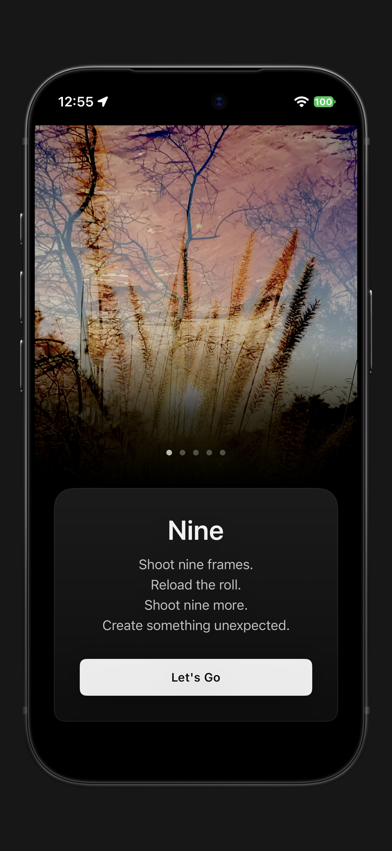 Nine’s welcome screen, with a double exposure of grasses at sunset and the silhouettes of tree branches.